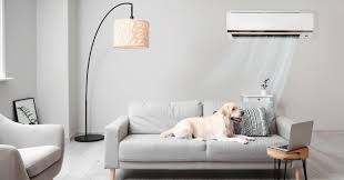 Is Air Conditioning Safe For Pets?