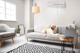 Is Air Conditioning Safe For Pets?